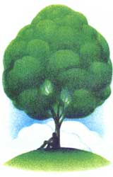 American Humor: In Search of the Best Shade Tree